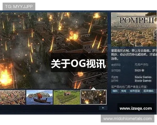 OG视讯登录入口功能详解，便捷登录流程提升您的在线娱乐体验