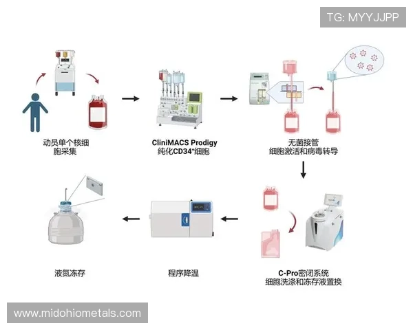 欧博注册开户流程图完整流程解析，确保用户顺利完成注册与账户激活